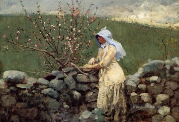 Pfirsichblütes2 Realismus Maler Winslow Homer Ölgemälde